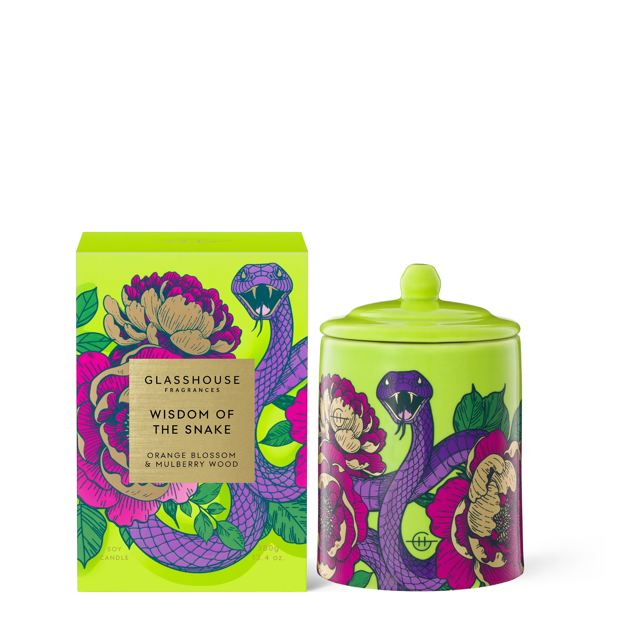 380g Candle - Wisdom of the Snake