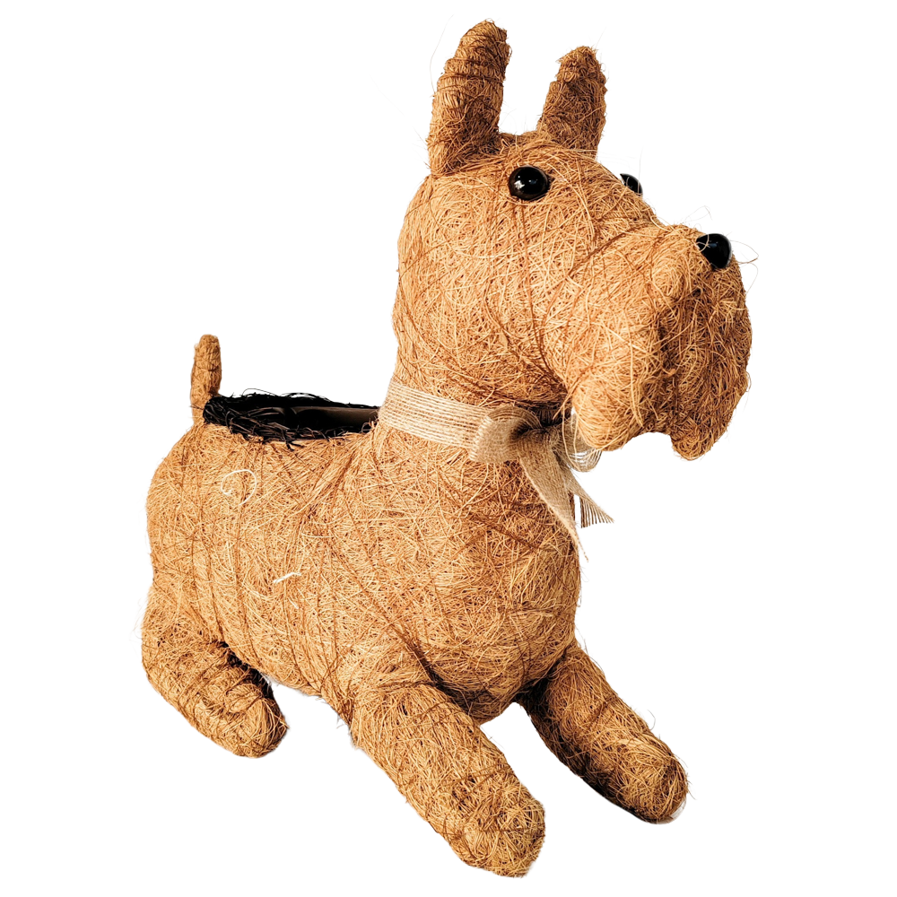 HUSK Scottie Dog Planter Brown 38cm