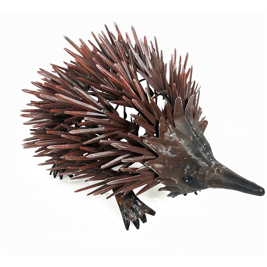 Rust Echidna 43x28x16cm