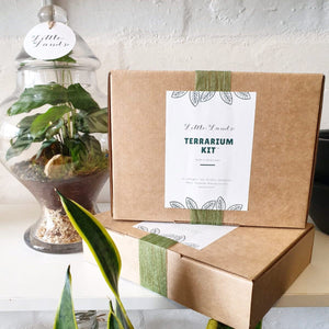 Little Lands - Terrarium Kit