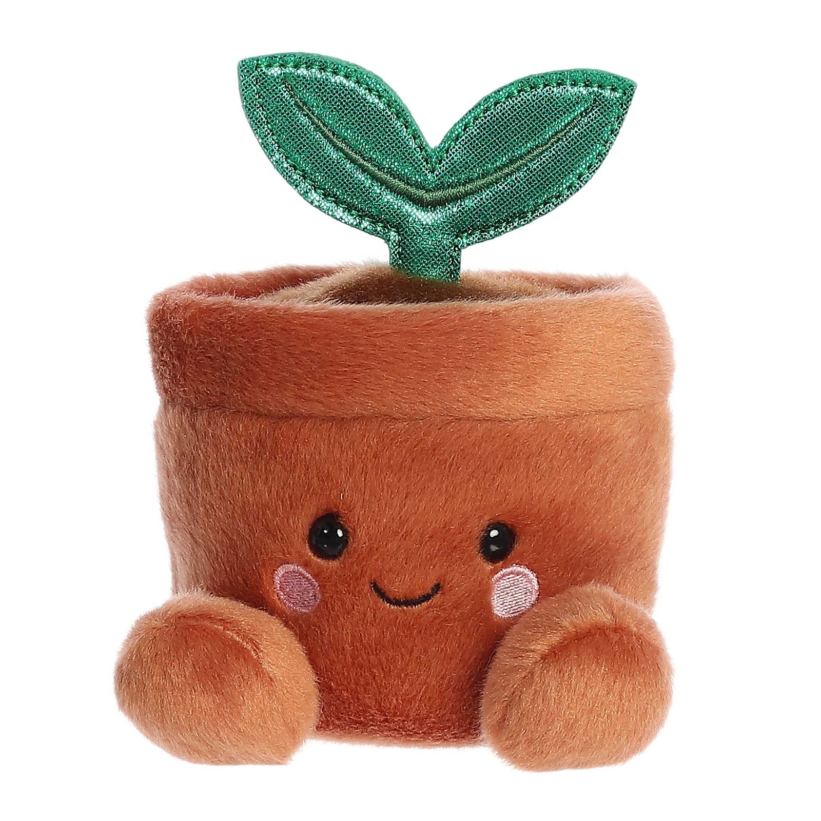 Palm Pals - 13cm Potted Flower