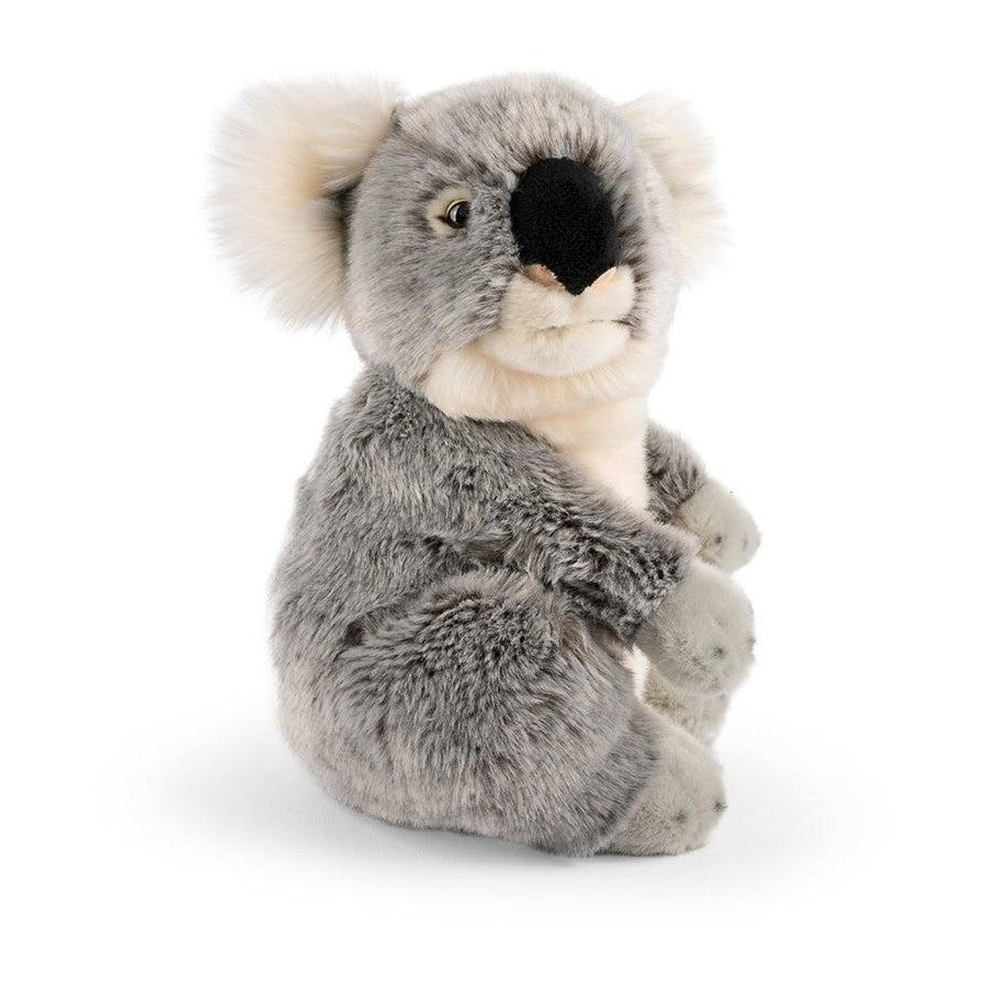 Living Nature - 25cm Koala