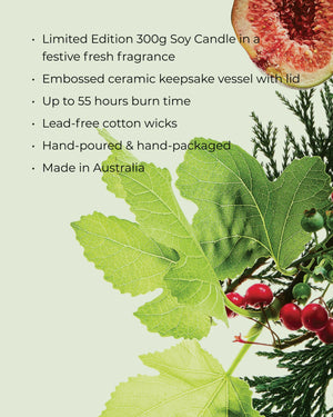 CIRCA 300g Candle - Christmas - WHITE FIG & CEDAR