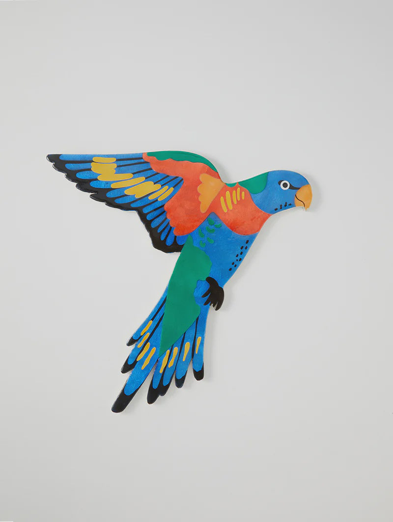 Aerial Lorikeet Wall Art - Jones & Co