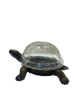 Turtle Terrarium Planter - Bronze